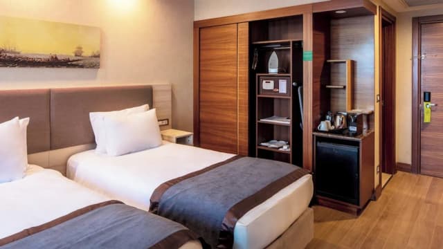 伊斯坦堡希斯里 Holiday Inn IHG 旗下酒店-標準客房, 2 張單人床, 吸煙房-9