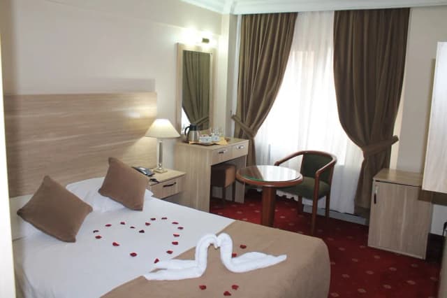 Hotel Büyük Şahinler-标准房-2