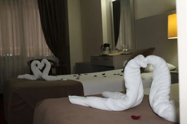 Hotel Büyük Şahinler-标准房-7