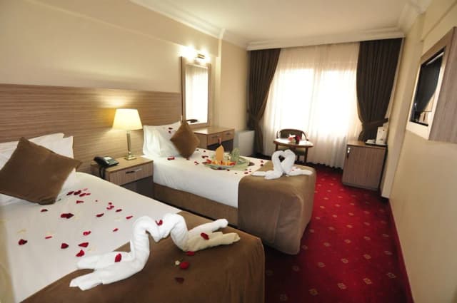 Hotel Büyük Şahinler-标准房-10