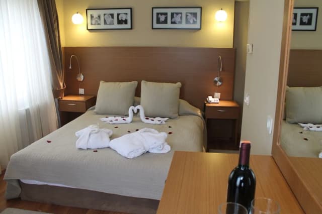 Hotel Büyük Şahinler-套房-2