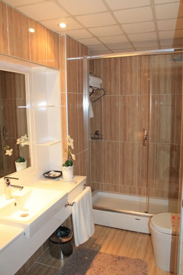 Hotel Büyük Şahinler-套房-4