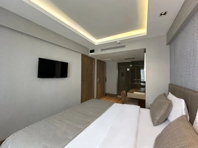 老城區貝亞齊特君悅飯店-Connection Room-3