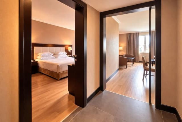 エレシン ホテルズ トプカピ-ジュニア スイート-8