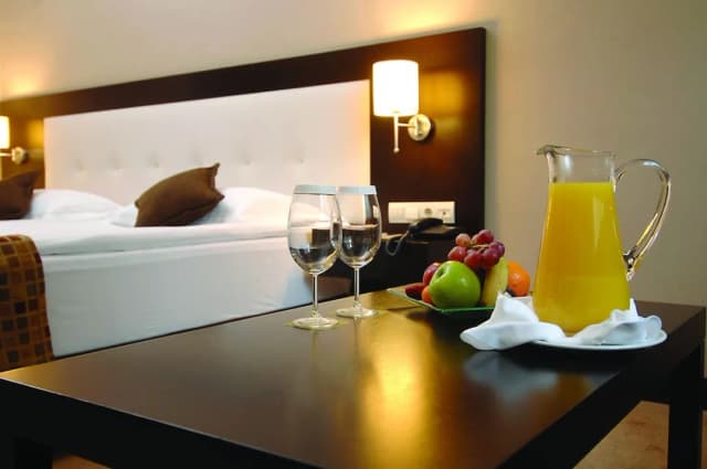 エレシン ホテルズ トプカピ-デラックス ダブルルーム-5