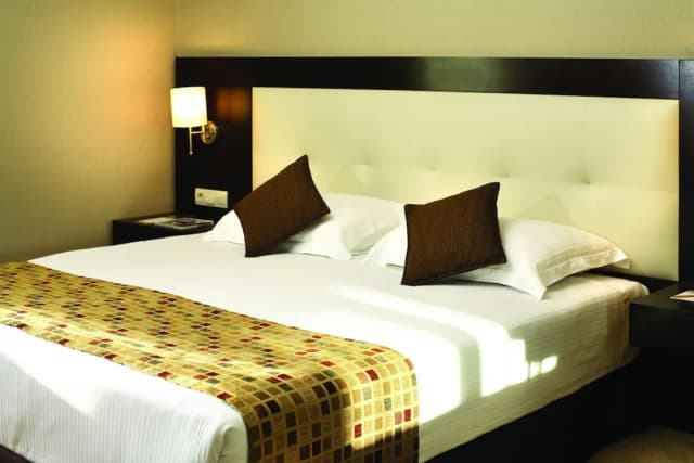 エレシン ホテルズ トプカピ-デラックス ダブルルーム-1