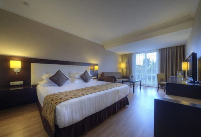 エレシン ホテルズ トプカピ-デラックス ダブルルーム-6