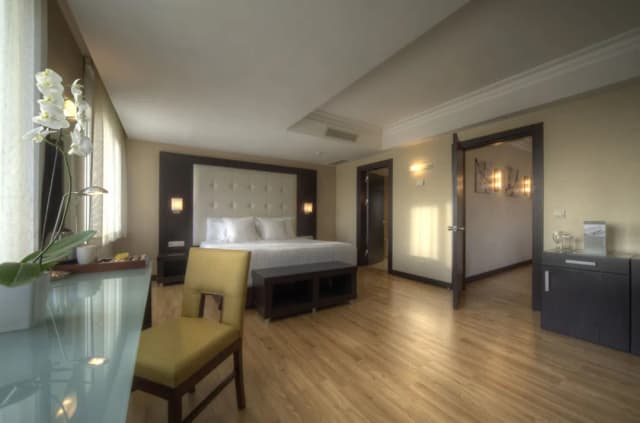 エレシン ホテルズ トプカピ-シニア スイート-6