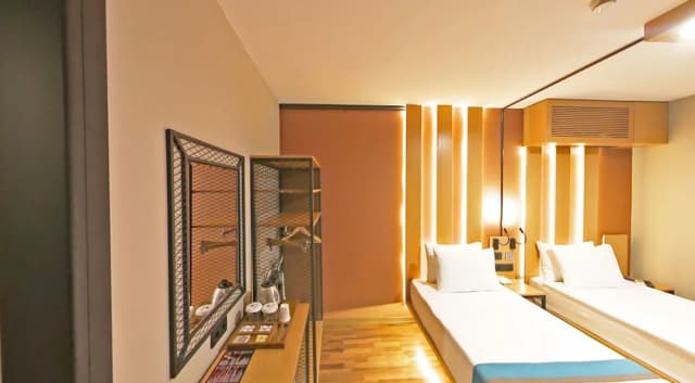 イスタンブール アンティーク ホテル-スタンダード ツインルーム-9