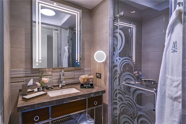 ザ アルティザン イスタンブール M ギャラリー-スーペリア ダブルルーム ダブルベッド 1 台 シティビュー-10