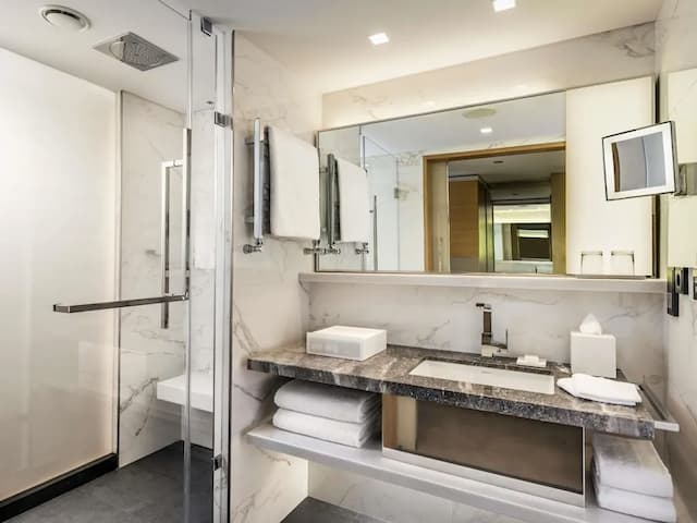 伊斯坦堡瑞士飯店-Swiss, 客房, 1 張特大雙人床, 花園景觀-7