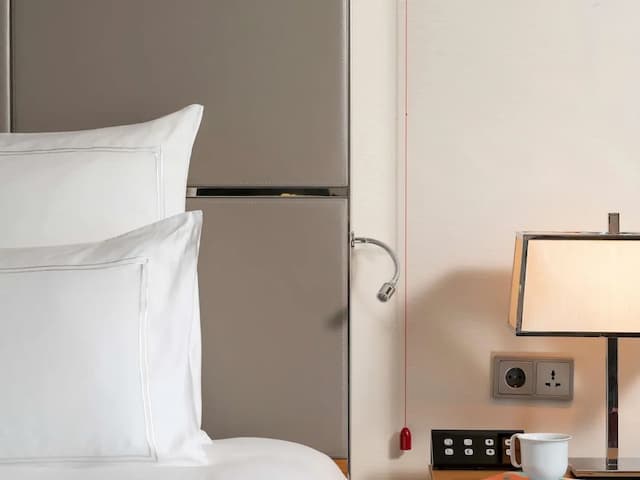 伊斯坦堡瑞士飯店-Swiss, 客房, 1 張特大雙人床-2