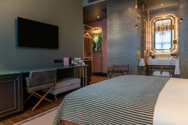 Orient Occident Hotel Istanbul, Autograph Collection-特级客房, 1 张特大床-5