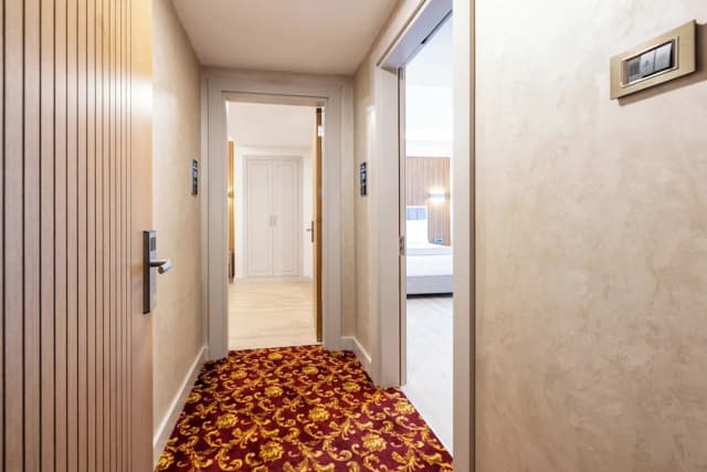 卡瑞娜金飯店及餐廳-高級雙人或雙床房-9