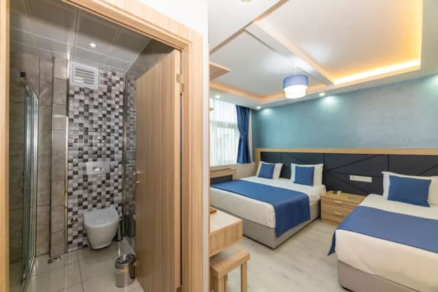 イェシルパーク ホテル-デラックス ツインルーム 1 ベッドルーム-6