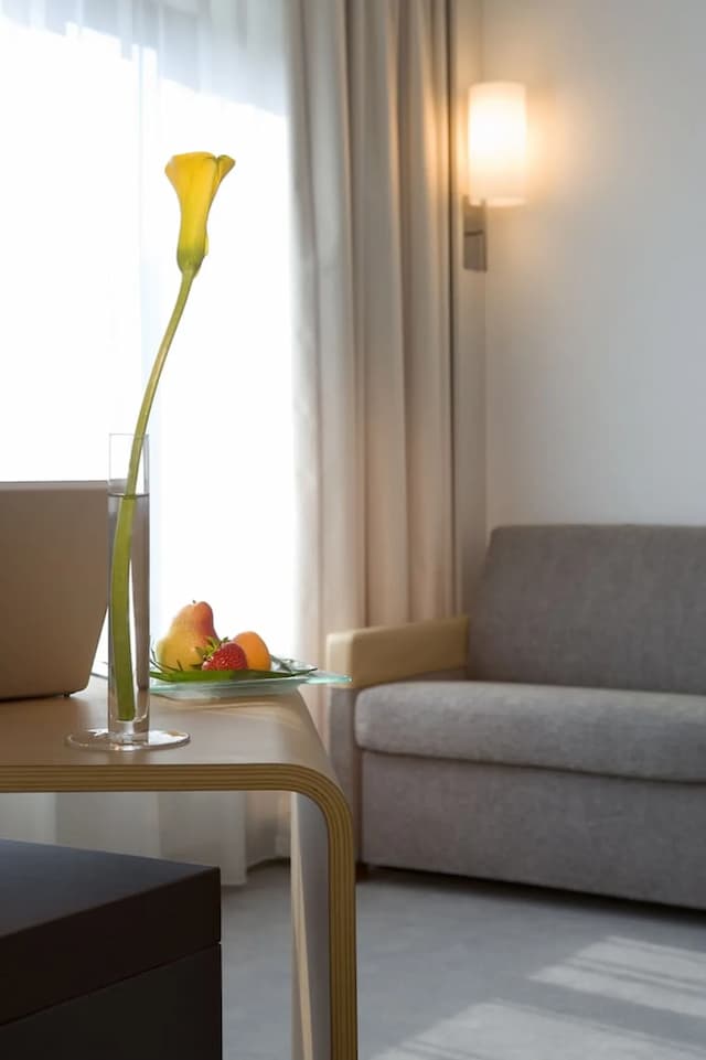 ノボテル アテネ-Executive Room With Balcony, 1 double bed or 1 double bed with sofa bed-2