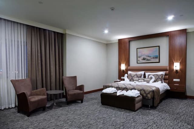 ユーロ パーク オテル-エグゼクティブ ルーム-2