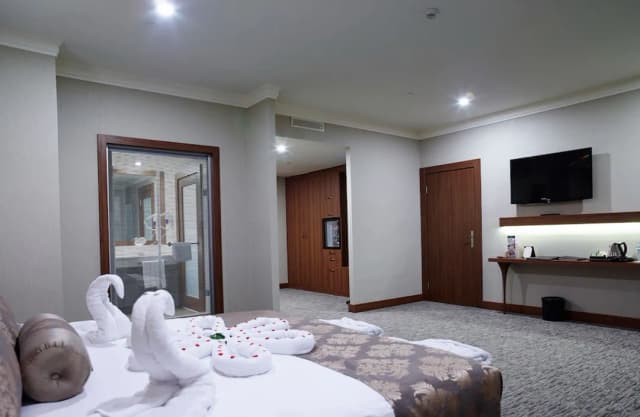 ユーロ パーク オテル-ラグジュアリー ルーム-1