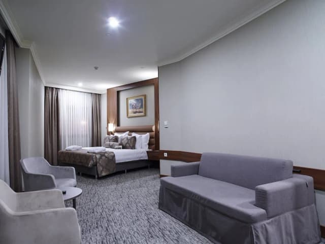 ユーロ パーク オテル-デラックス ルーム-1