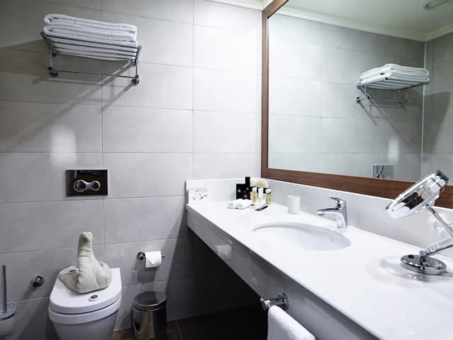 ユーロ パーク オテル-デラックス ルーム-6