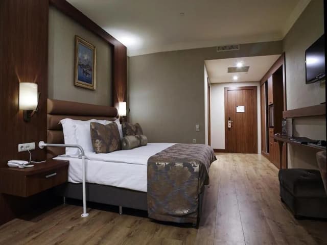 ユーロ パーク オテル-Engelli Odasi-1