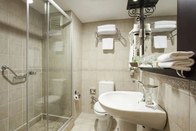 Ottoman Hotel Imperial - Special Class-Standard Single Room-3