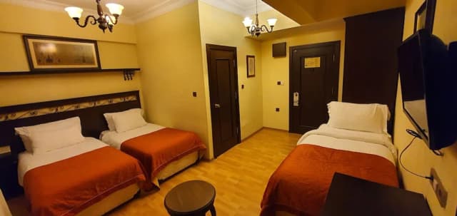 Ottoman Hotel Imperial - Special Class-Standard Room-7