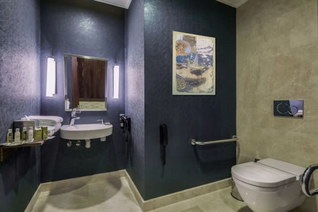 ダブルツリー バイ ヒルトン イスタンブール トプカピ-デラックス ルーム シングルベッド 2 台 禁煙-5