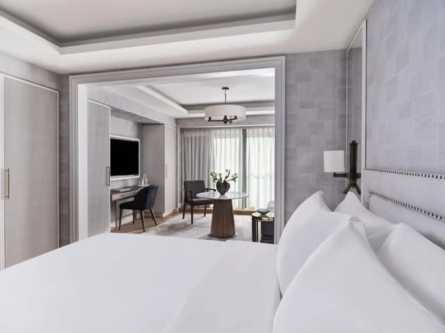 일렉트라 팰리스 아테네-주니어 스위트, 정원 전망-6