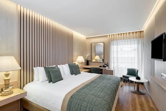 ディバニ パレス アクロポリス-エグゼクティブ ルーム (Acropolis View)-1