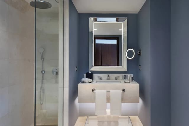 JW マリオット イスタンブール ボスポラス-デラックス ルーム シングルベッド 1 台 (View)-4