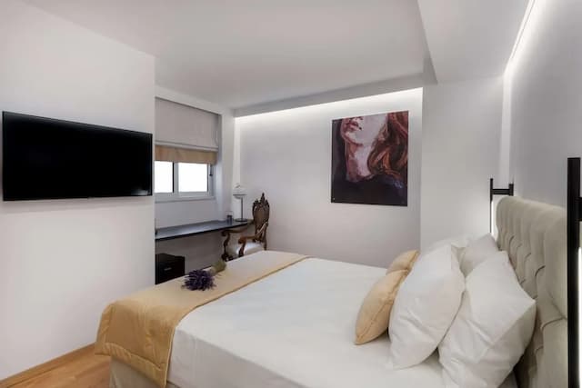 アテネ フレ-クラシック ダブルルーム-2