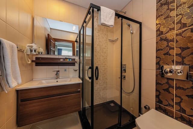 Aristocrat Hotel-经济客房-6