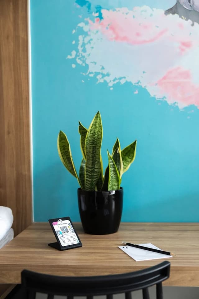 Q 酒店-The Super Q-3