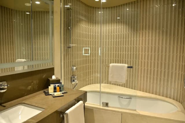 Hilton Istanbul Kozyatagi-双床房-4