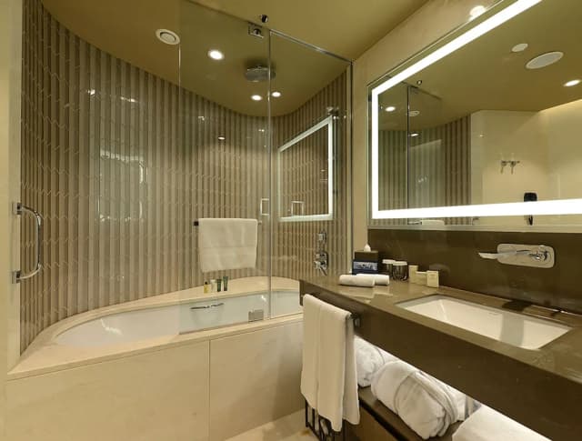 Hilton Istanbul Kozyatagi-King Room, 套房, 1 间卧室-9