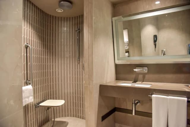 Hilton Istanbul Kozyatagi-客房, 1 张特大床, 无障碍-5