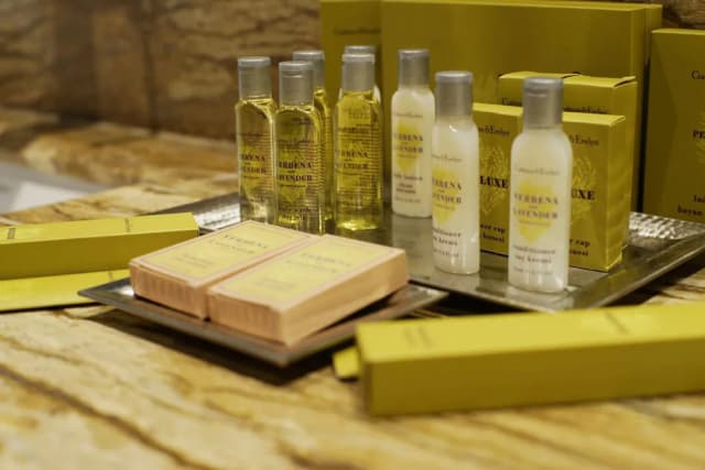 Hilton Istanbul Kozyatagi-家庭房, 城市景观-6