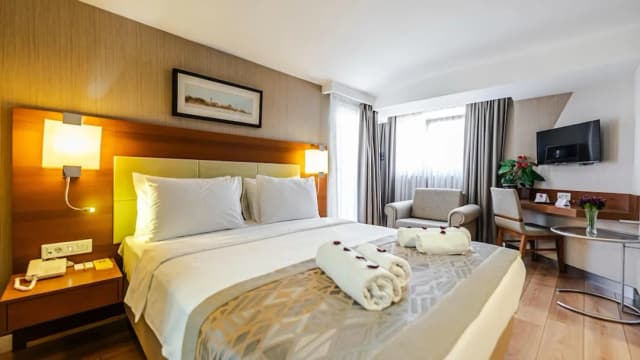 伊斯坦堡肯特飯店-標準單人房 (1 King Bed)-3