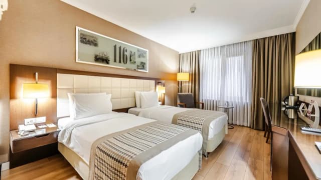 伊斯坦堡肯特飯店-標準單人房 (1 King Bed)-2