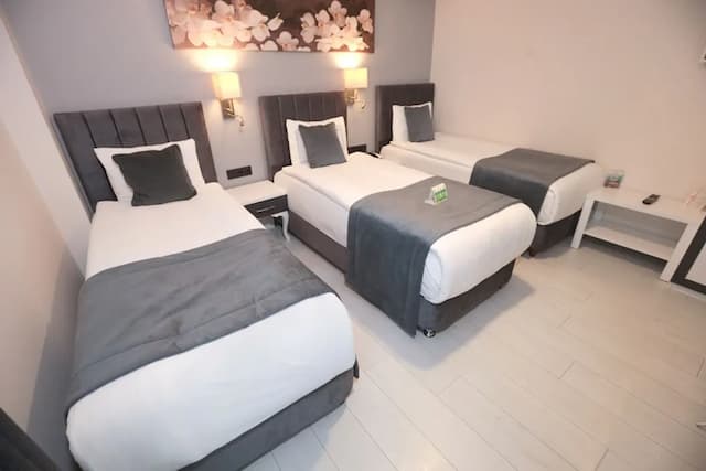 Skalion 酒店-標準三人房-3