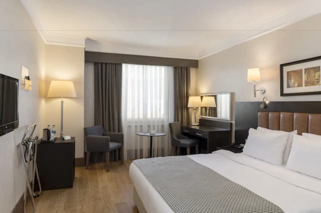 홀리데이 인 이스탄불 - 올드 시티 바이 IHG-스탠다드룸, 퀸사이즈침대 1개-1