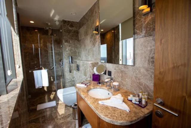 Uranus Istanbul Topkapı-Deluxe King Room with City View-5