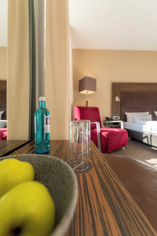 雷根斯堡公爵大教堂 ACHAT 酒店-舒適雙人或雙床房-5