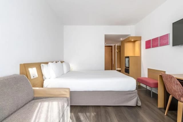 馬德里北部埃克飯店-雙人房 (with Sofa Bed)-4