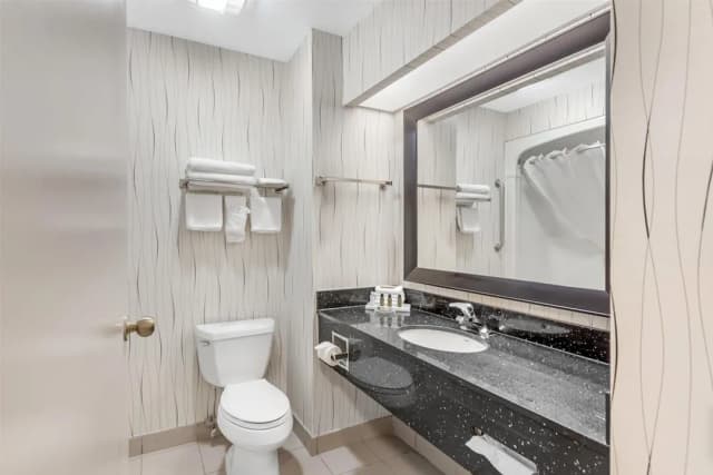 貝斯特韋斯特多倫多機場飯店-標準客房, 1 張特大雙人床, 非吸煙房, 冰箱和微波爐-5