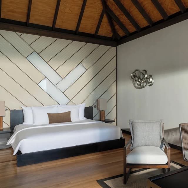 馬爾地夫維拉莎魯飯店-Water Bungalow with Pool-3