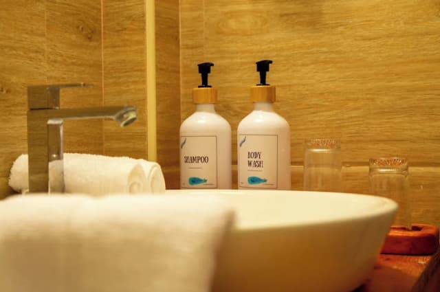 生態圈旅館 馬爾代夫-豪華雙人或雙床房-26