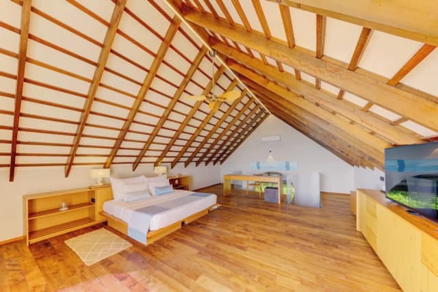 馬爾代夫西納蒙絲絨飯店-Superior Beach Loft-1