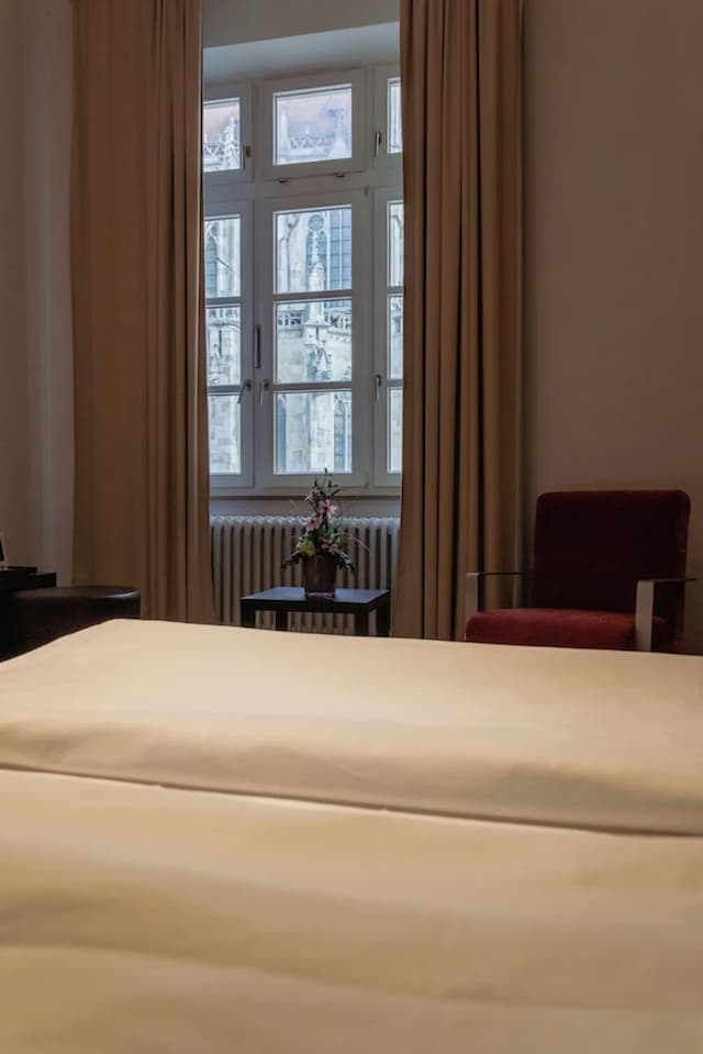 雷根斯堡公爵大教堂 ACHAT 酒店-舒適雙人或雙床房-9